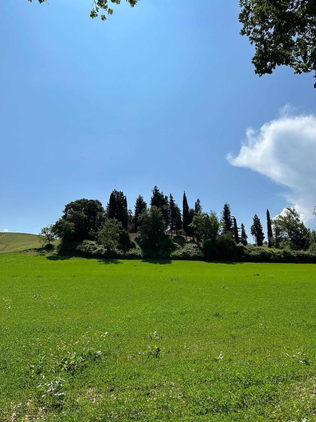 Villa Il Giardinello Montalcino Exterior foto