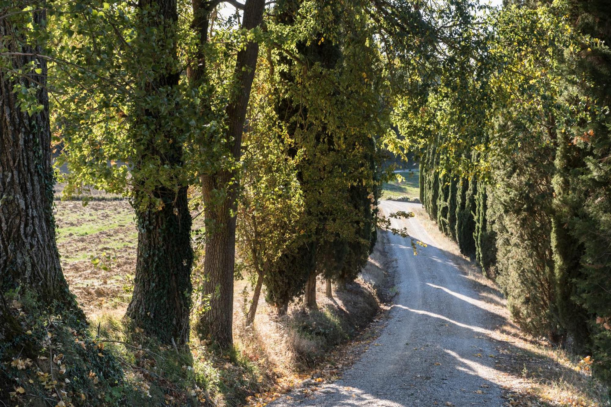 Villa Il Giardinello Montalcino Exterior foto